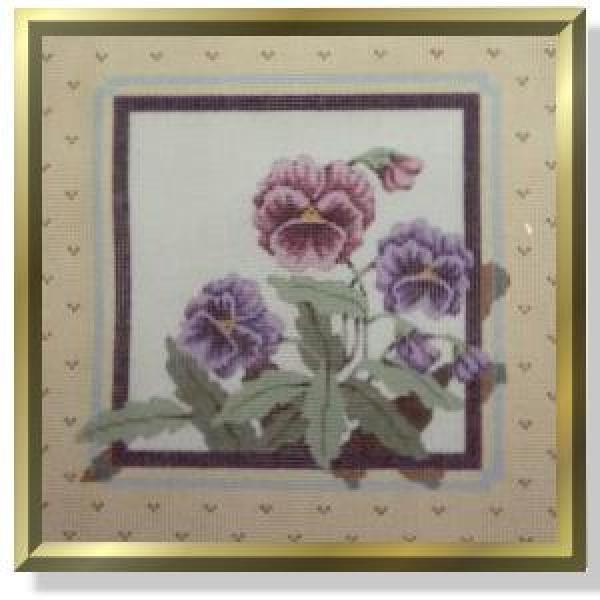 Pansies-CD206