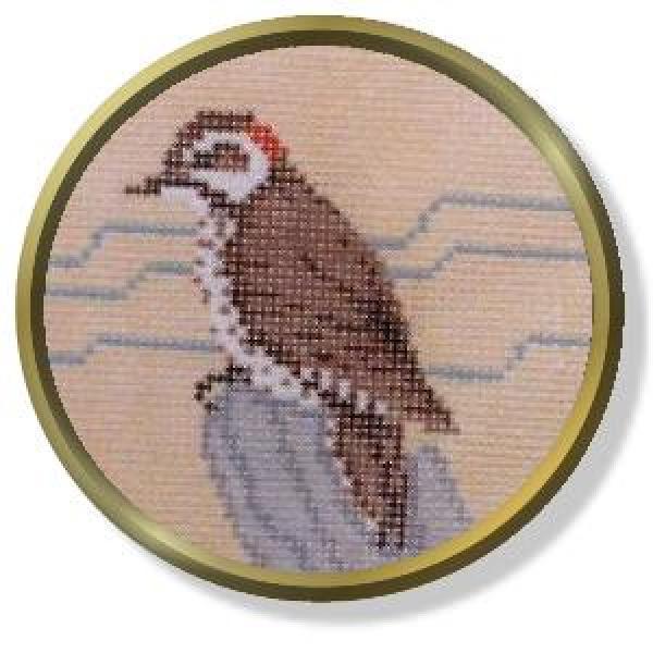 Woodpecker-QR205