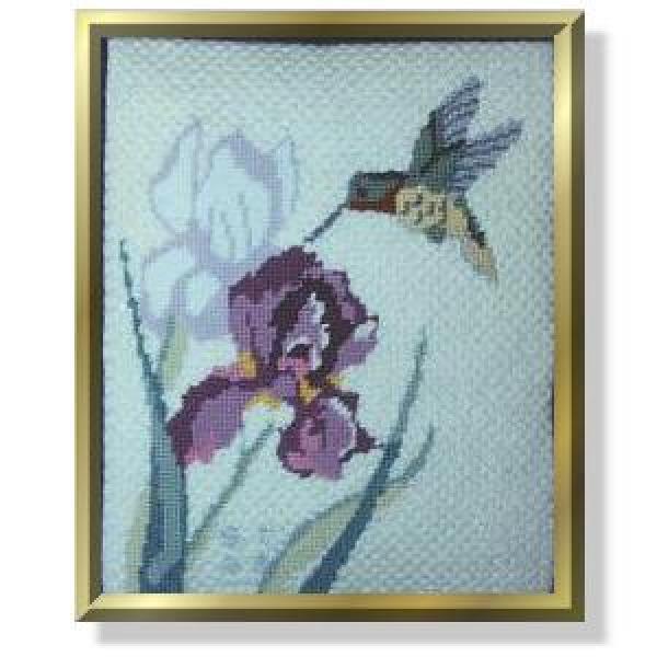 Hummingbird & Iris-QR39
