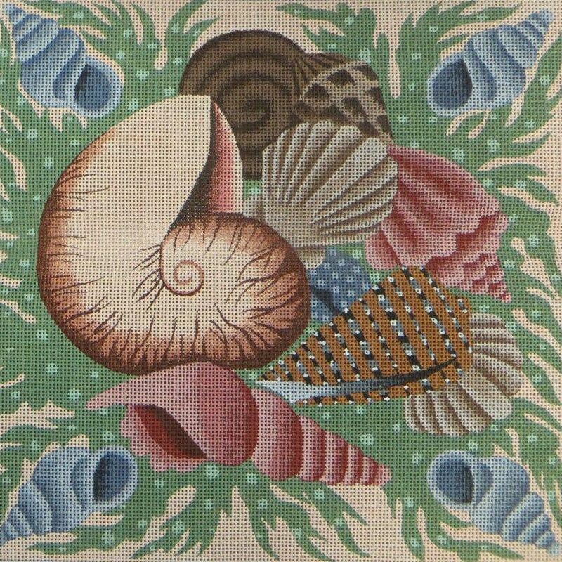 Seashells QRSK 16